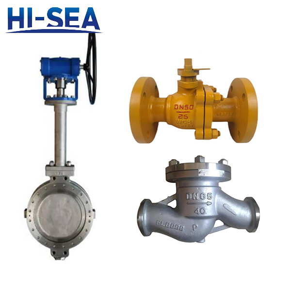 Liquefied Natural Gas Valves