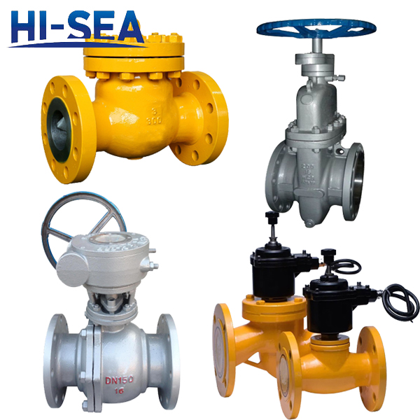 Natural Gas Special Valves