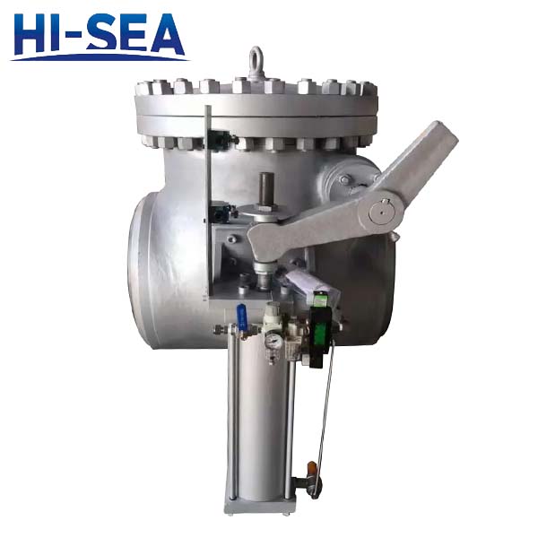 Power Station Extraction Check Valve